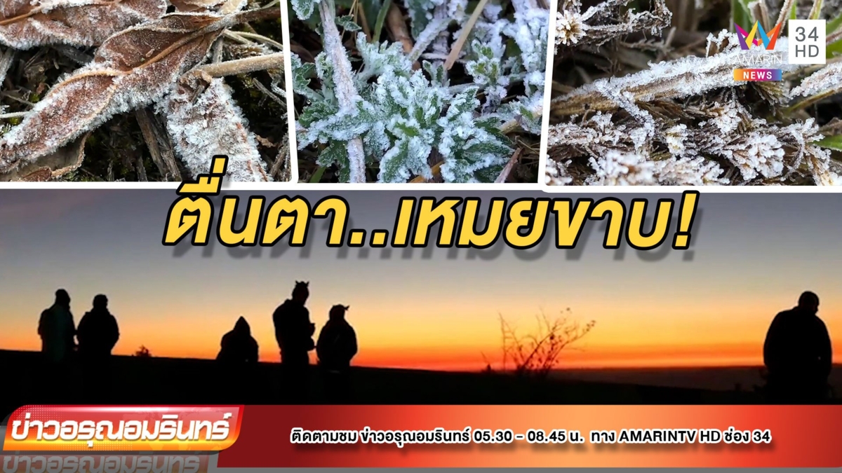 ต่ำ 5 องศาฯ! “เหมยขาบ” โผล่ยอดดอยอินทนนท์