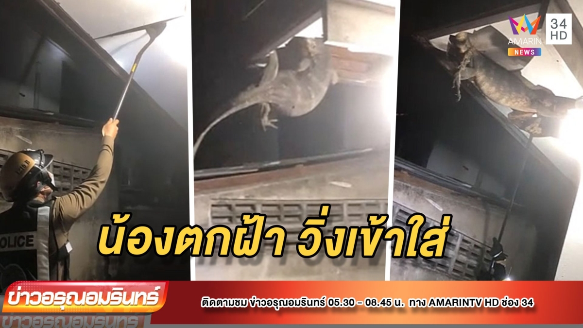 แตกกระเจิง! “ตัวเหี้ย” บุกซุกฝ้าเพดาน กระทุ้งตัวร่วงวิ่งใส่ จนท.
