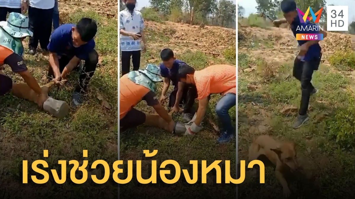 ชื่นชม จนท.ช่วยหมาหัวติดขวดพลาสติก ไล่จับวิ่งเตลิด 2 ชม.