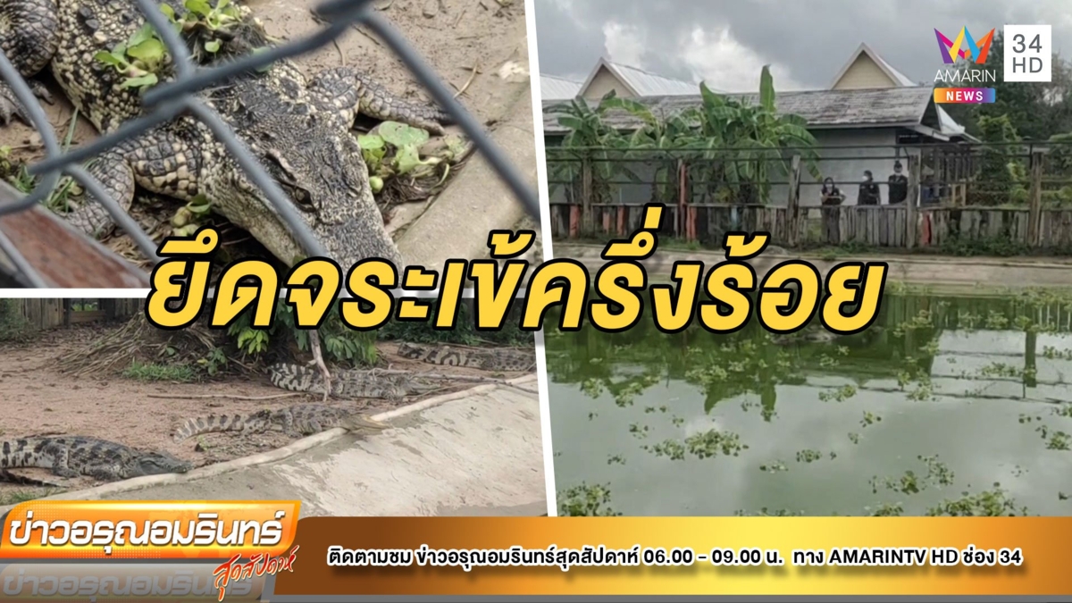 บุกยึดจระเข้น้ำจืดครึ่งร้อย คาบริษัทรองรับทัวร์จีน ไร้ใบอนุญาต