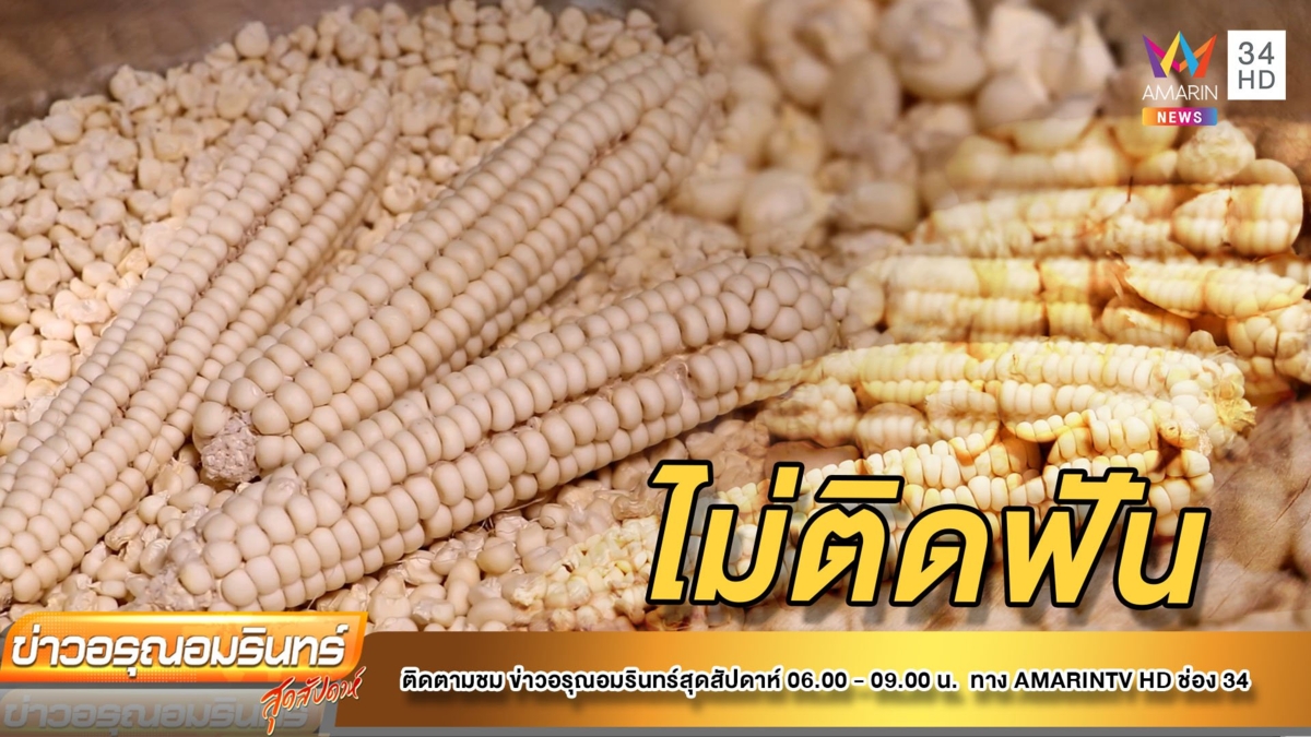 ชวนกิน “ข้าวโพดแปดแถว” ของดีโพธาราม