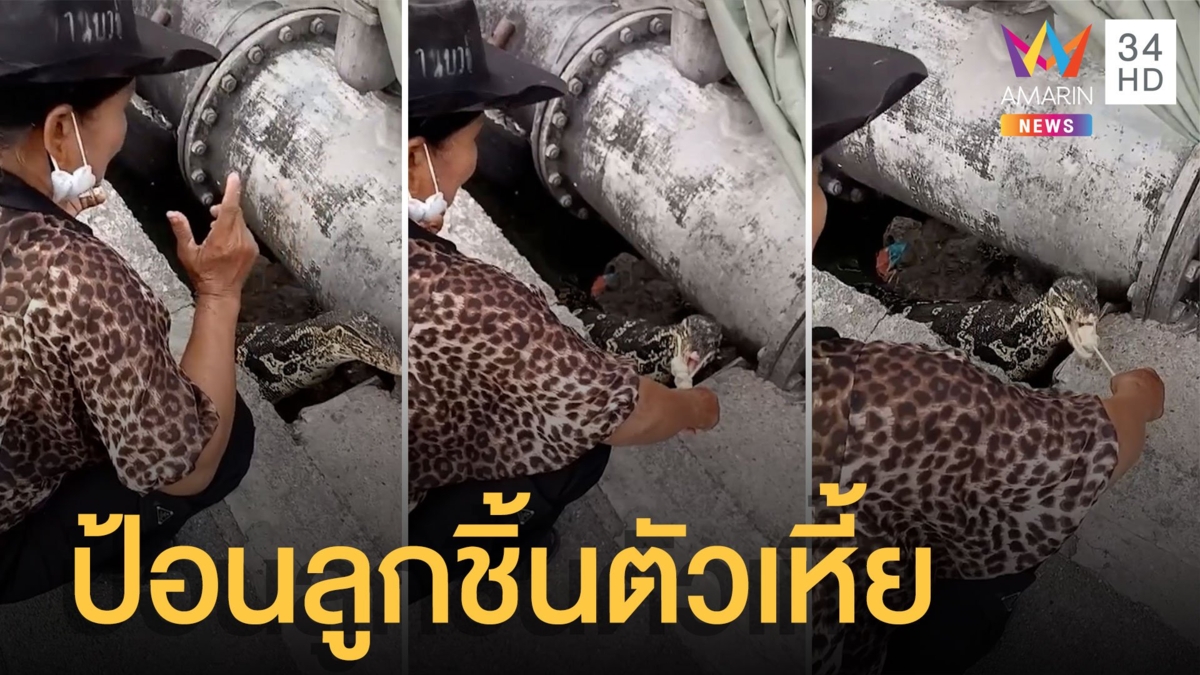 สาวป้อนลูกชิ้นให้ตัวเหี้ย 2 ไม้ ชาวเน็ตแซวระวังมือ น้ำลายสกปรก