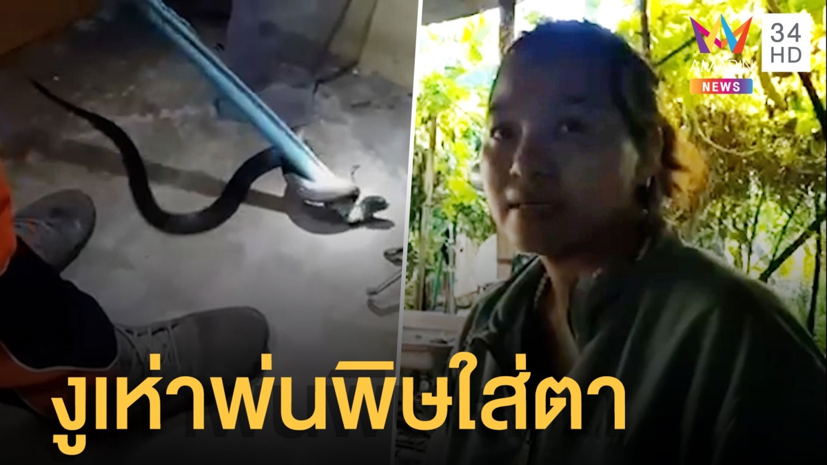 งูเห่าพ่นพิษใส่ตา แม่อาการสาหัส หลังเข้ามาช่วยลูกสาว