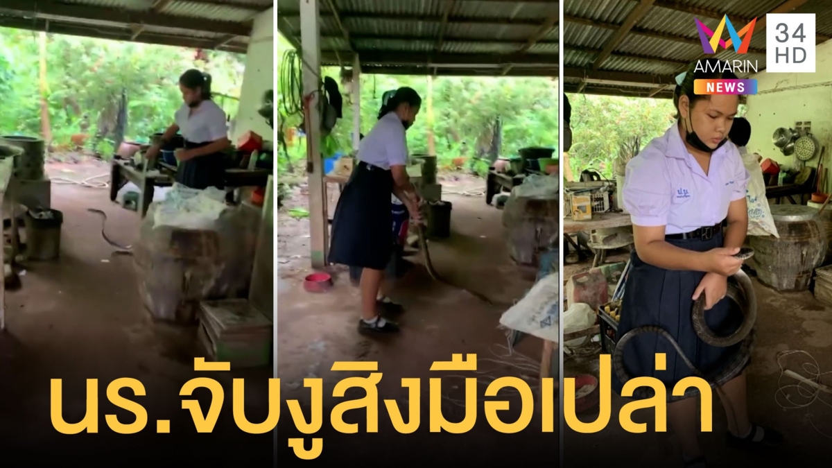 นักเรียนสาวใจกล้า จับงูสิงยาว 2 เมตร บุกในครัวเพื่อนบ้าน