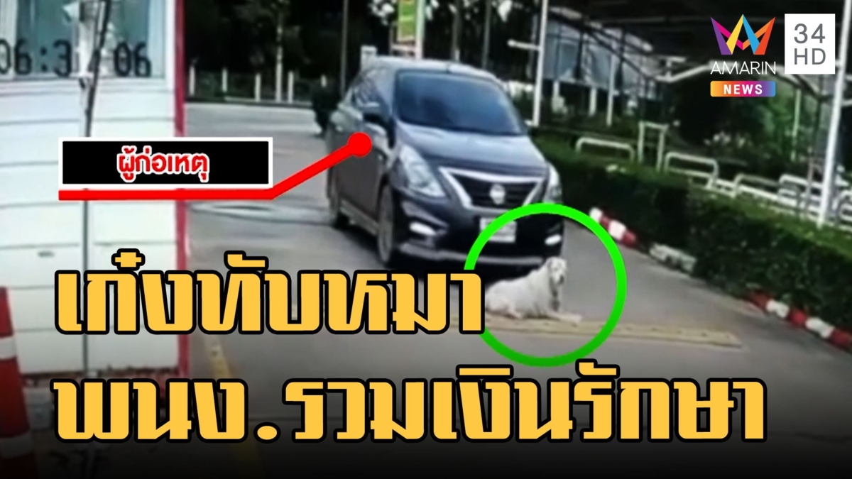 ขับเก๋งทับหมาทางเข้าห้าง พนง.ระดมเงินพาไปรักษา