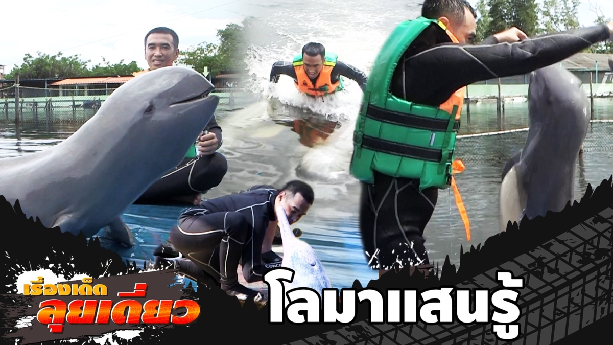 เรื่องเด็ดลุยเดี่ยว | โลมาแสนรู้ เขาฝึกกันยังไง จ.จันทบุรี