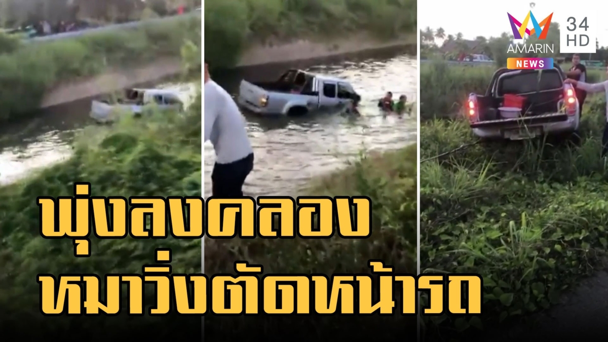 หมาวิ่งตัดหน้ากระบะหักหลบเสียหลักพุ่งลงคลอง รถลอยตามน้ำ