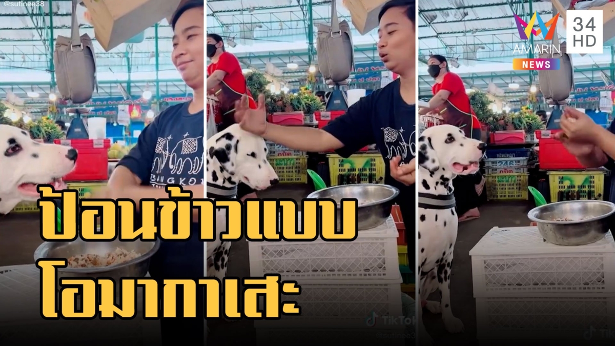 ป้อนข้าวน้องหมาแบบ "โอมากาเสะ" ชาวเน็ตแซวลูกค้านั่งรอตาละห้อย