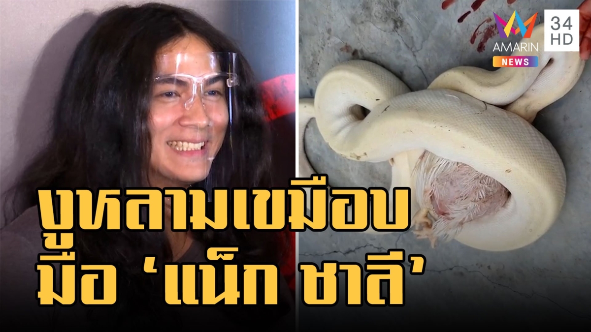 เจ็บแต่ยังไหว! "แน็ก ชาลี" ป้อนไก้ให้งูหลามเผือกกิน แต่ถูกเขมือบมือไปด้วย
