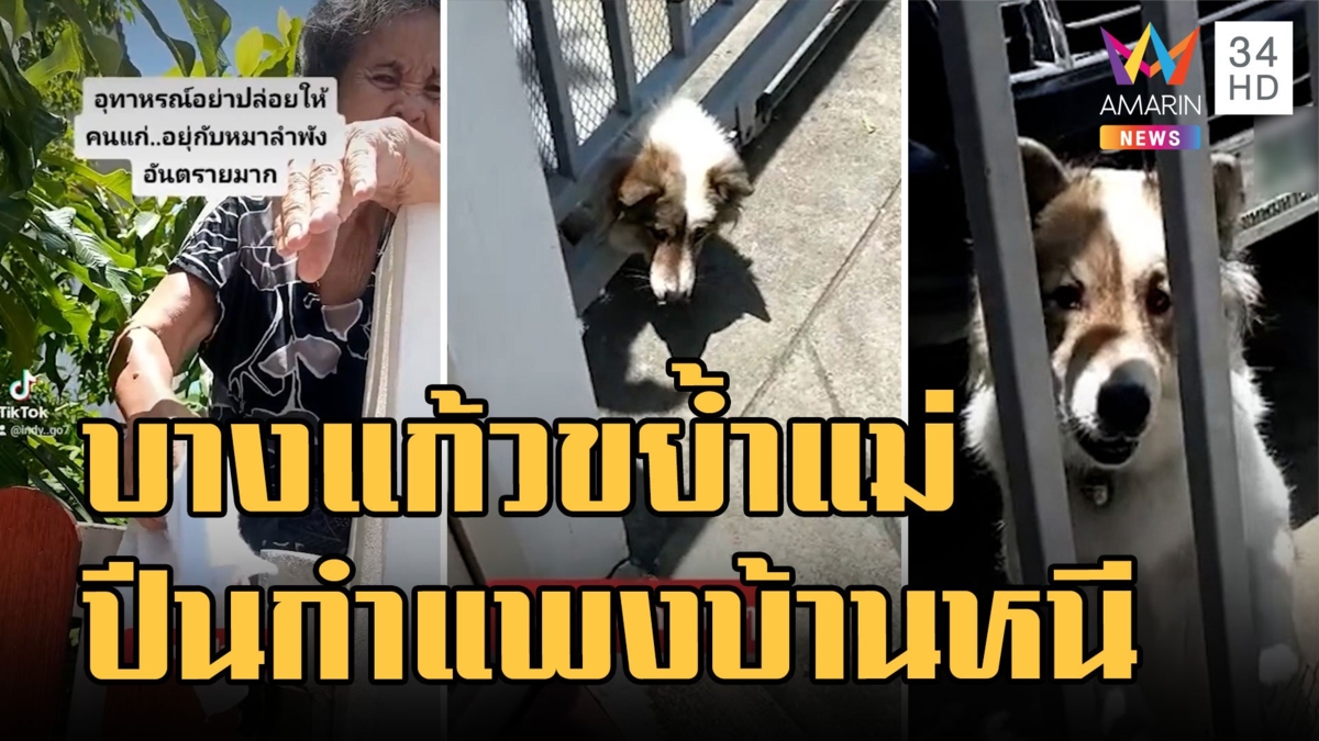 ลูกสาวเลี้ยงหมาบางแก้ว แม่เฝ้าบ้านลำพังหมาขย้ำจมเขี้ยวต้องปีนกำแพงหนี