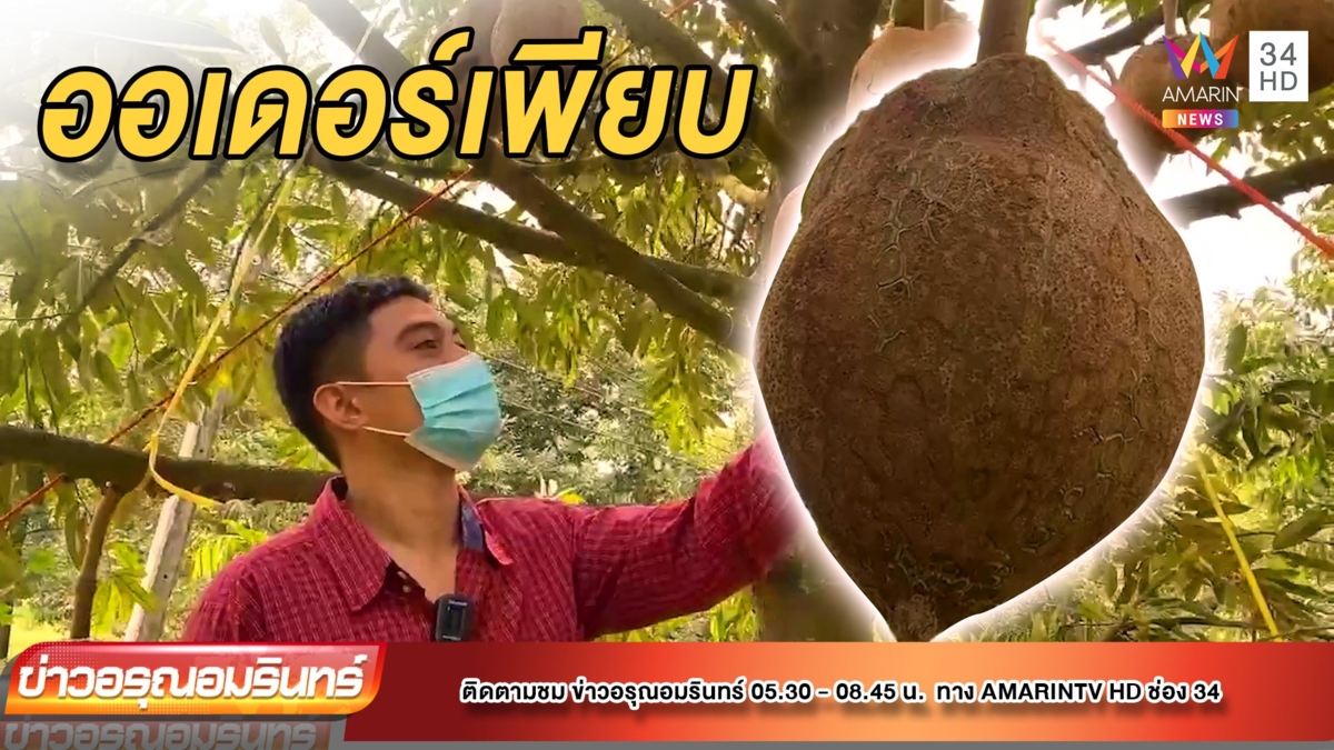 ไอเดียดี! หนุ่ม 22 ทำทุเรียนไร้หนามส่งต่างประเทศ