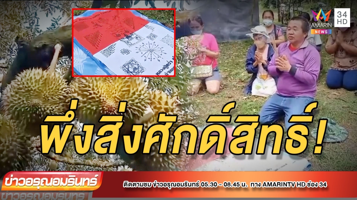ชาวสวนทุเรียนหันพึ่งสิ่งศักดิ์สิทธิ์ ป้องกันพายุ ฤดูตัดทุเรียน
