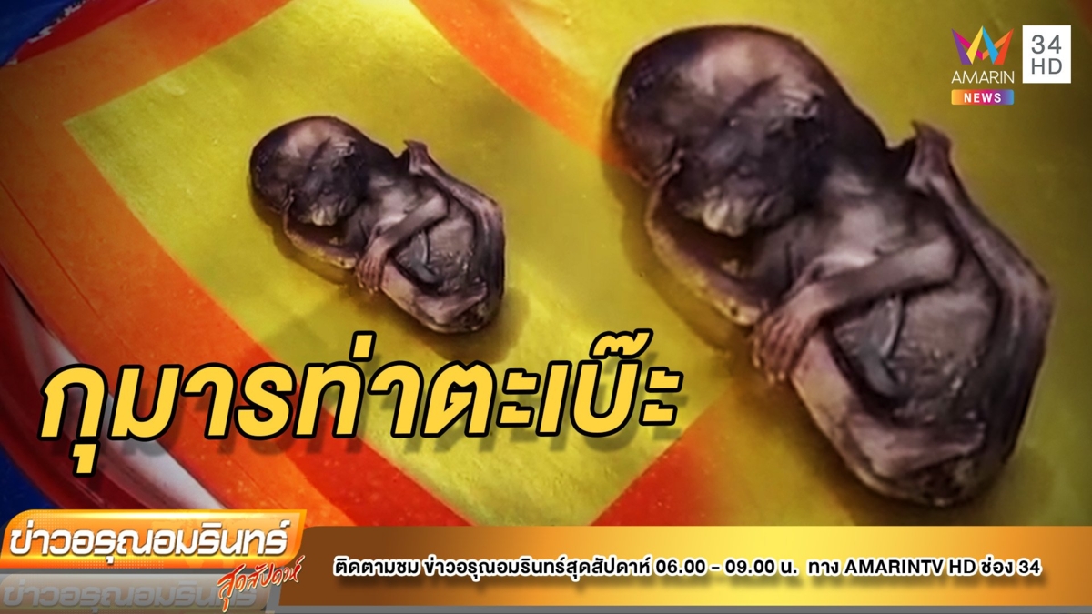 ฮือฮา! พบ “กุมารทองท่าตะเบ๊ะ” กลางงานล้างป่าช้าศรีราชา