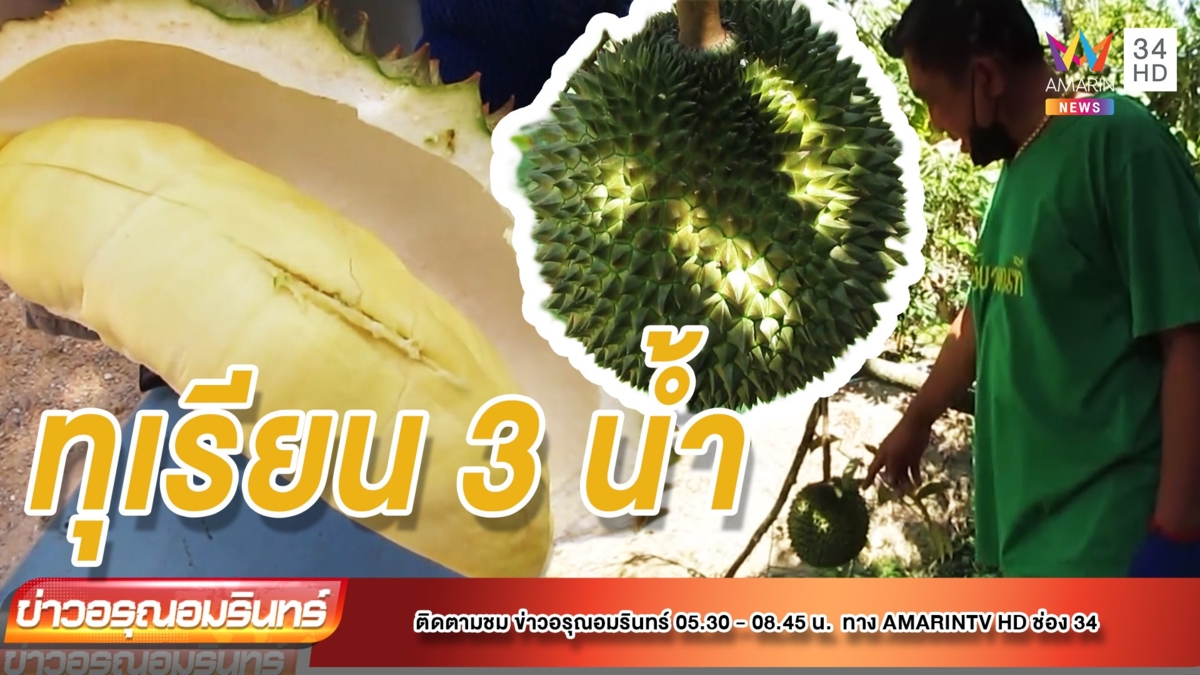 ตะลึง!ทุเรียน3น้ำ เมืองสมุทรสงครามลูกละ 2หมื่นบาท จองปีนี้อีก4ปีได้กิน