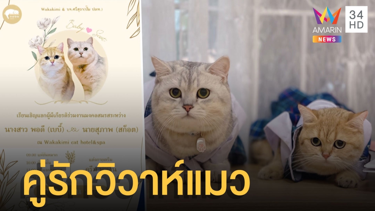 ทาสแห่อวยพร พอดี-สุภาพ เข้าสู่ประตูวิวาห์แบบแมวๆ