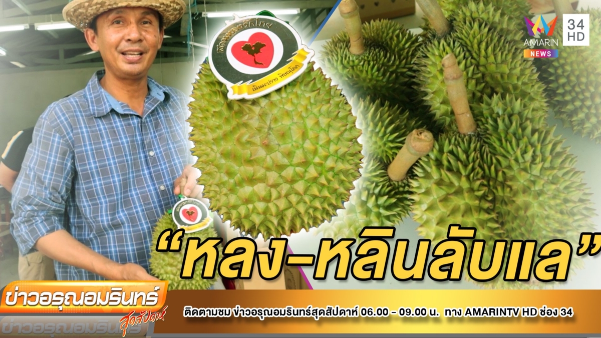 นักท่องเที่ยวแห่ชม-ชิม-ซื้อ ทุเรียนหลง-หลินลับแล