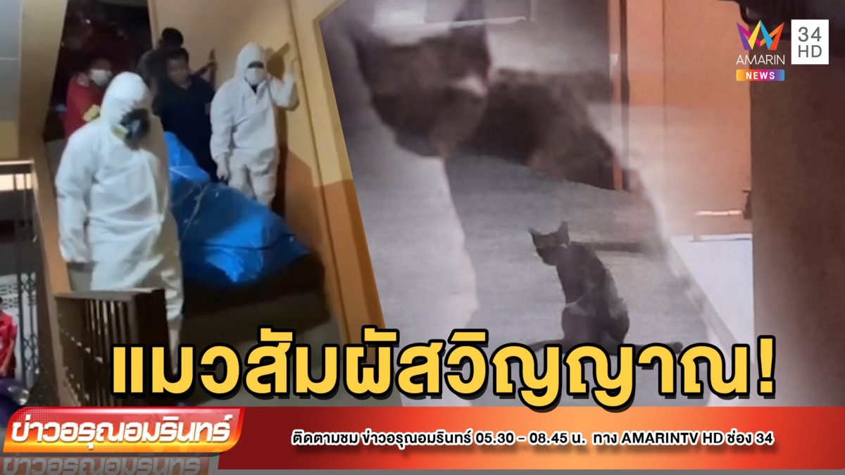 แมวบอกเหตุ! นั่งเฝ้าหน้าห้องหนุ่มเบญจเพสดับปริศนา