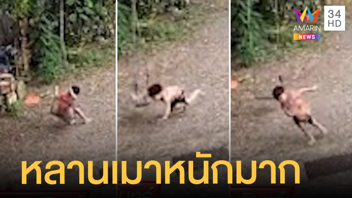 ย่าสุดงงหลานเดินเซ ที่แท้เดินเมาชิงช้าหนักมาก