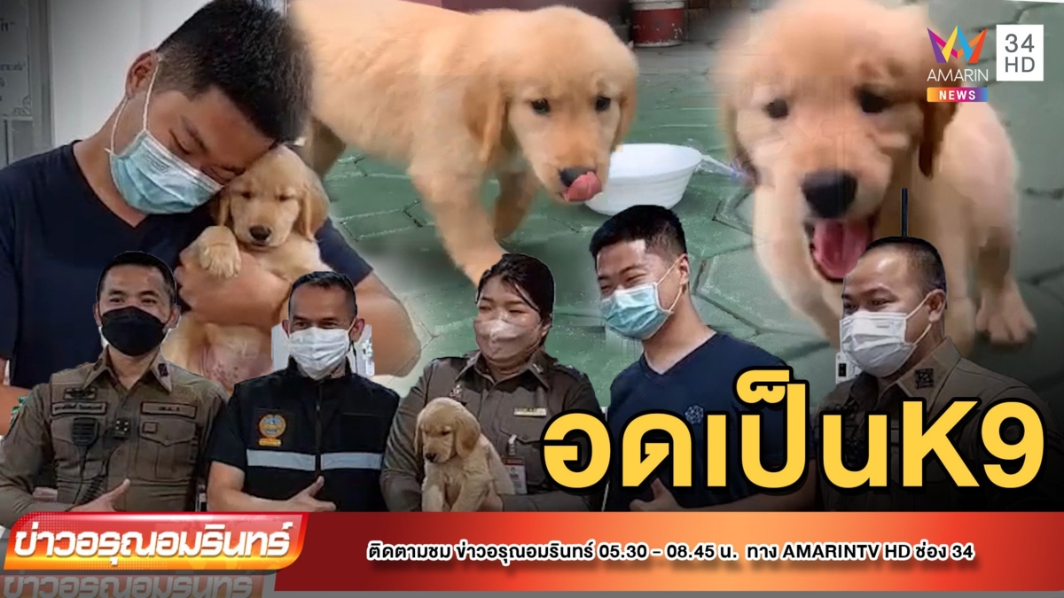 “มูมู่” โกลเด้น เจอเจ้าของ ได้ชื่อใหม่ “นาตาชา โรมานอฟ”