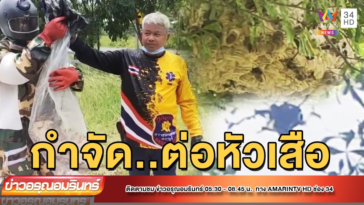 ผวา! ร้องกู้ภัย ช่วยกำจัดต่อหัวเสือรังใหญ่บินไล่ต่อยชาวบ้านบาดเจ็บ