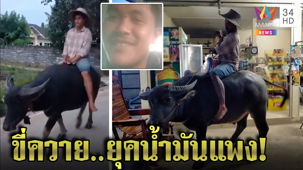 ไอเดียเจ๋ง หนุ่มขี่“ตุ๊ดตู่”ไอ้ทุยแสนรู้ซื้อของ เผยแค่ถ่ายรูป ปัดประชดน้ำมันแพง