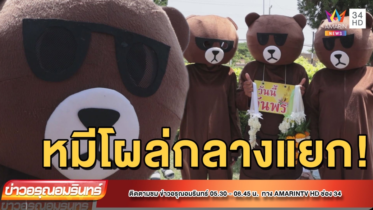 ตะลึง! คนเห็นหมี โผล่ขายพวงมาลัยกลางแยก