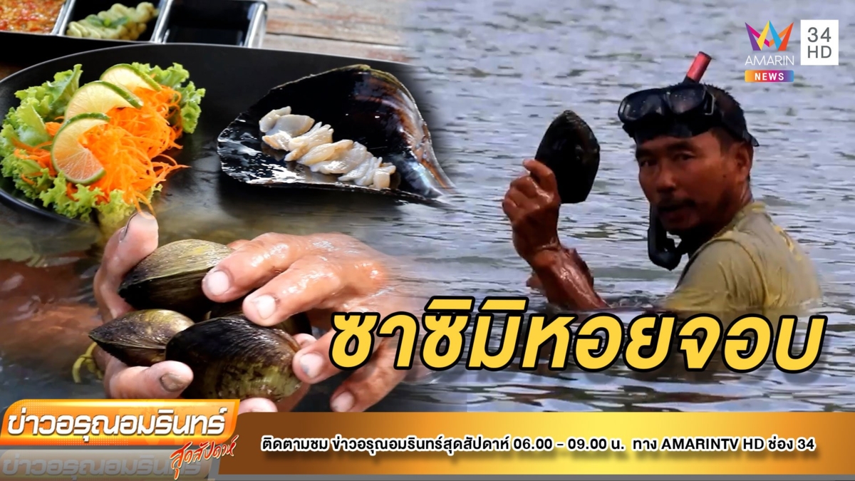ชวนชิม! ซาซิมิหอยจอบ หนึ่งเดียวใน จ.ตราด