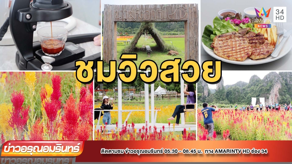 “นามุงคาเฟ่” เปลี่ยนนาข้าวเป็นจุดเช็คอินชมทุ่งดอกไม้
