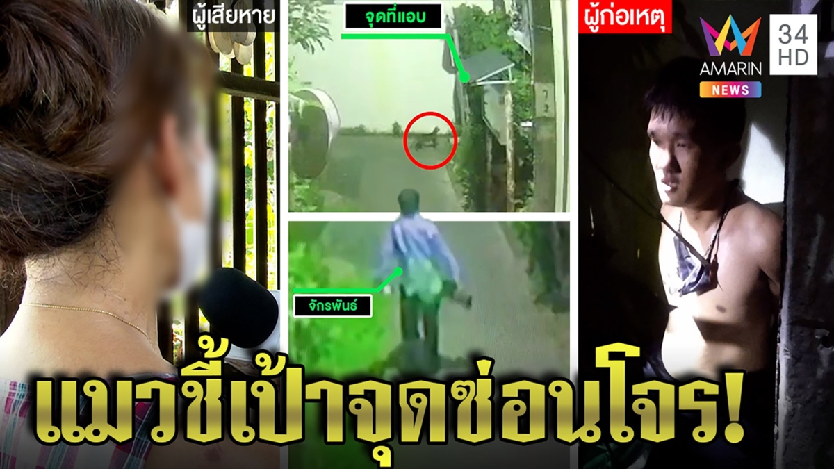 สาวใหญ่ผวารปภ.หื่นฉุดอนาจารตื้บซ้ำ แมวชี้เป้า คนร้ายอ้างเข้าใจผิดคิดว่าหมอนวด