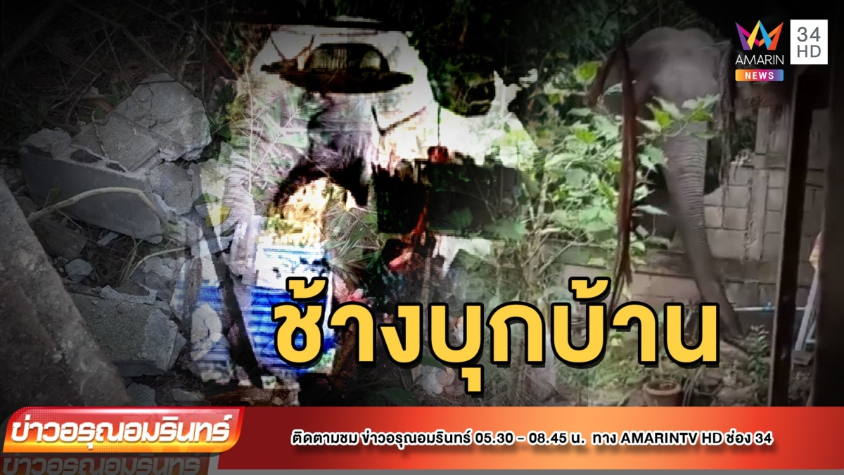 มาอีกแล้ว! เจ้าละมุด ช้างป่าทับลาน