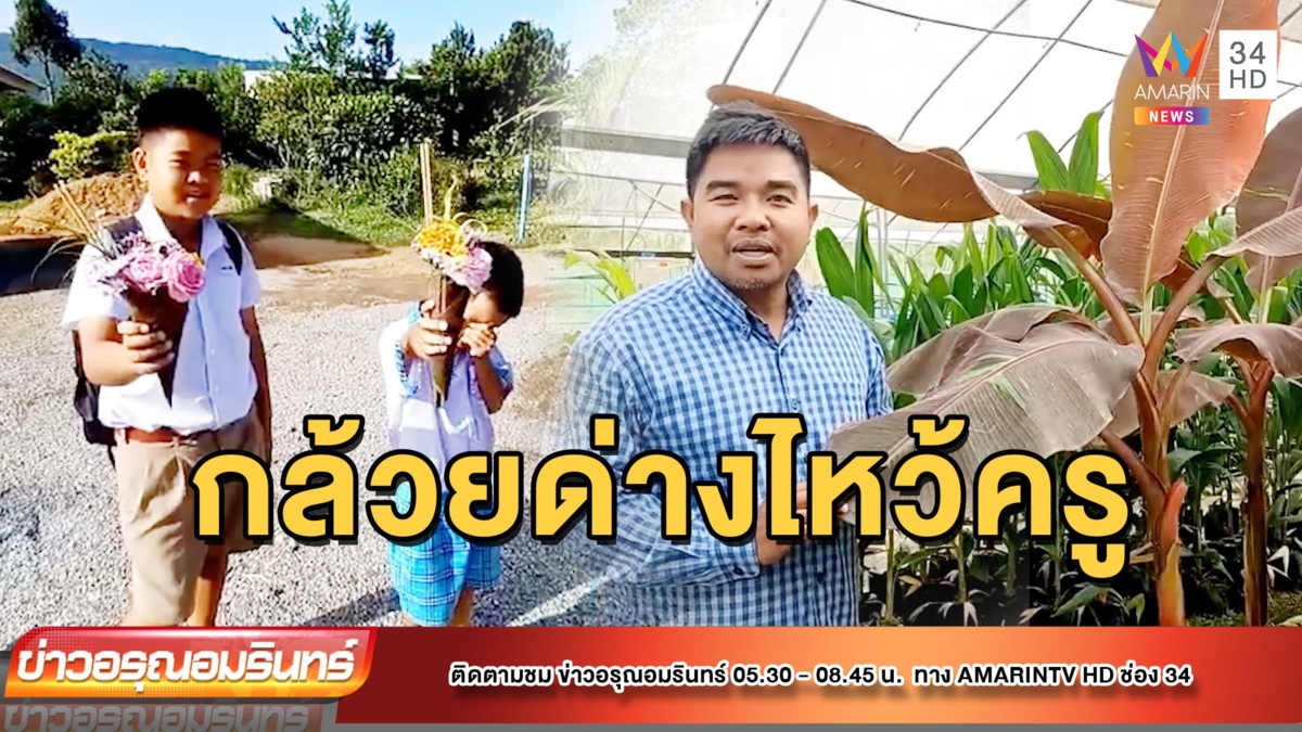 ลูกไม่รู้ว่าแพง ตัดใบกล้วยด่างทำกรวยไหว้ครู
