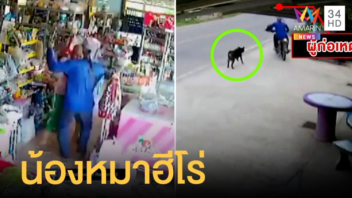 หนุ่มบุกจี้เจ้าของร้านชำ น้องหมาฮีโร่วิ่งมาแต่ไกลขย้ำขาโจร