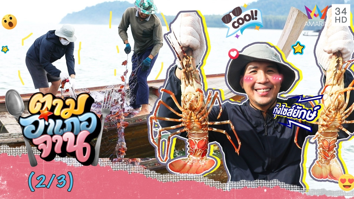 กู้อวนตื่นตากับ 'กุ้งมังกร'