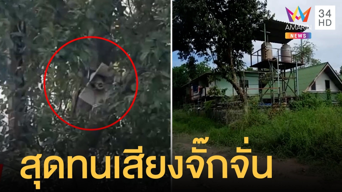 ชาวบ้านสุดทน! ลานพักตู้คอนเทนเนอร์เปิดเสียงจั๊กจั่นทั้งวันทั้งคืน