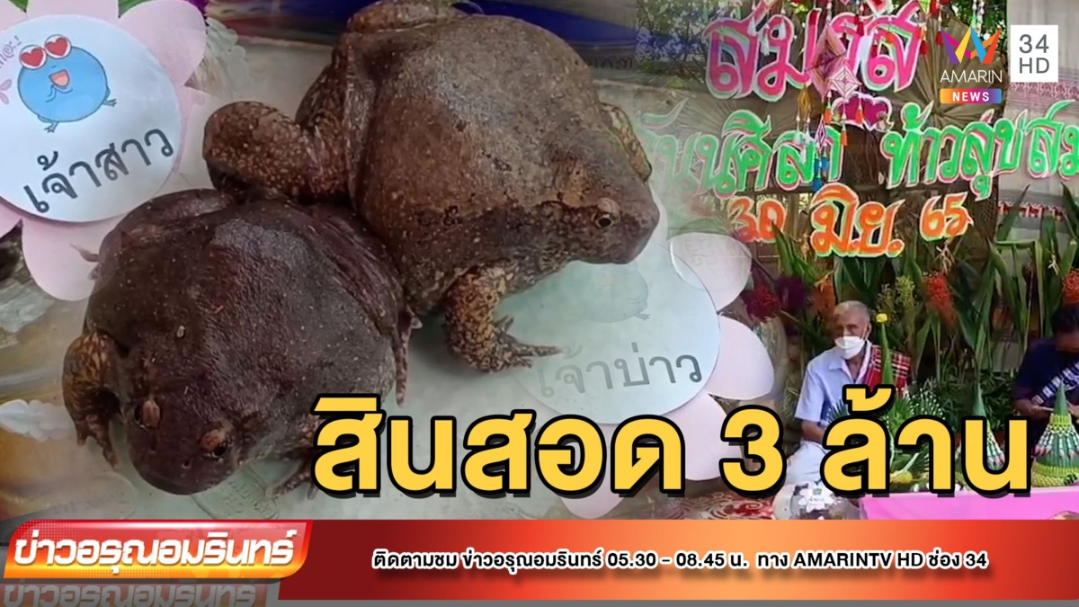 วิวาห์อึ่งอ่างสินสอด 3 ล้าน