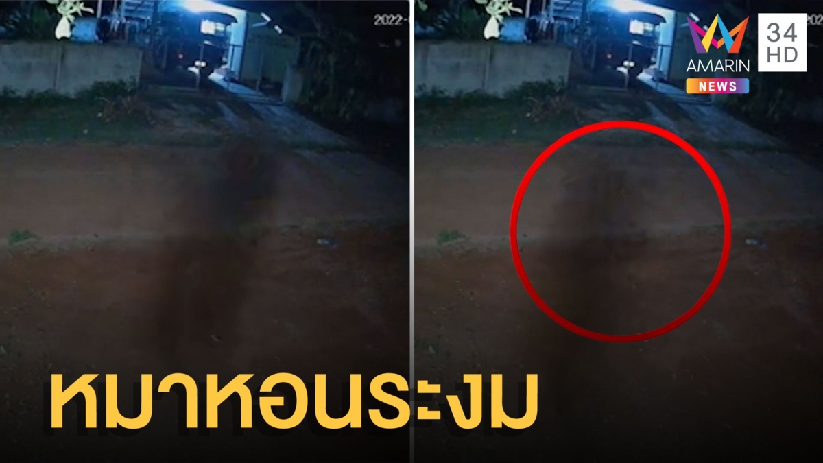 เงาดำปริศนาลอยหน้าบ้าน ทำหลอนแถมหมาหอนระงม