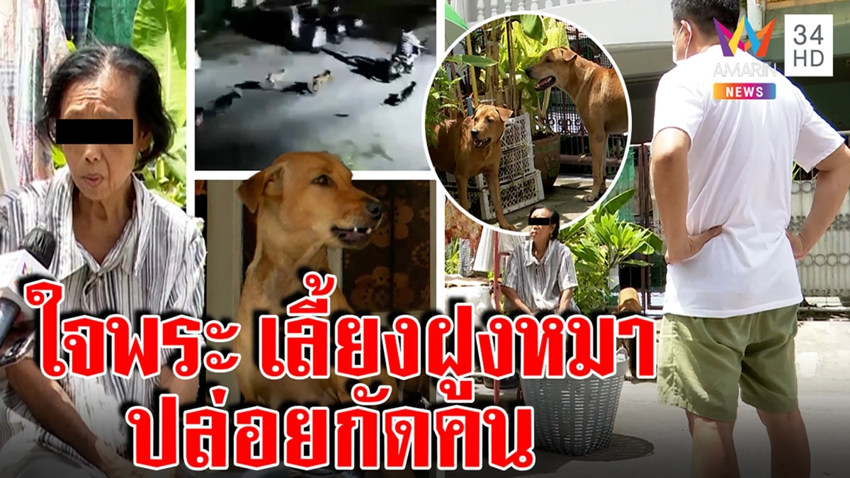 เถียงลั่นซอยมนุษย์ป้าปล่อยแก๊งหมากัดเด็กอ้างดีลนายพลช่วย เพื่อนบ้านฉะโชว์สื่อ