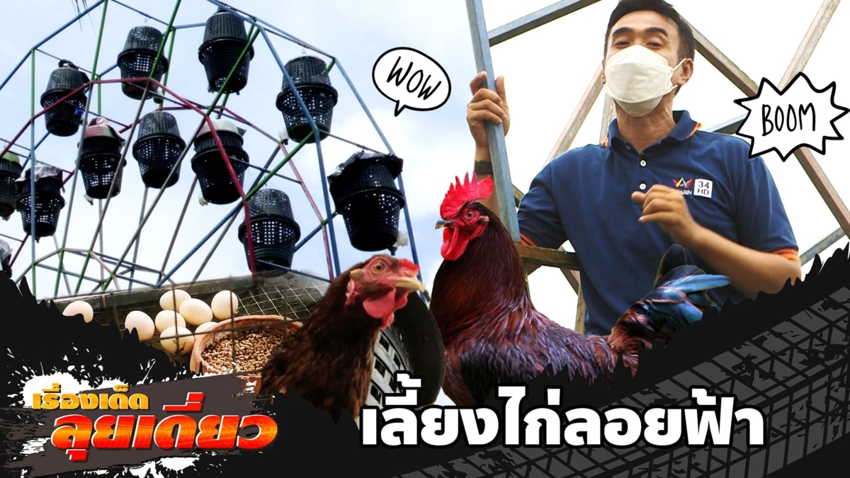 เรื่องเด็ดลุยเดี่ยว | เลี้ยงไก่ชิงช้าสวรรค์ลอยฟ้า หนึ่งเดียวในโลก