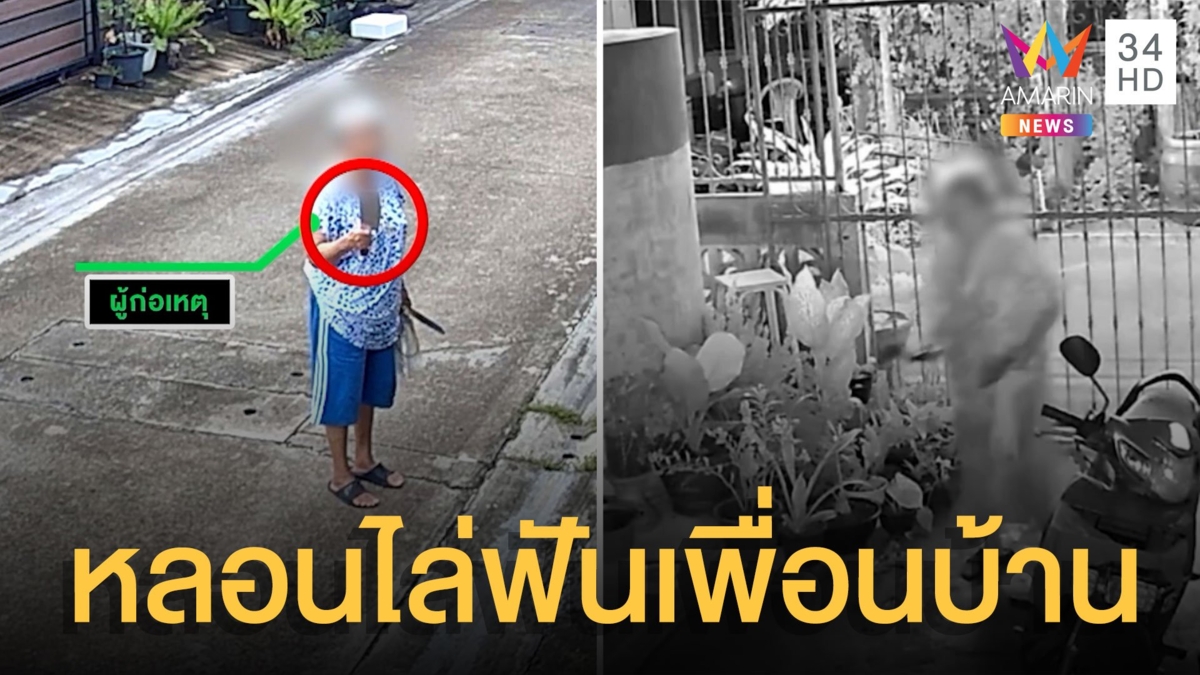 ป้ามหาภัยควงมีดอีโต้ไล่ฟันเพื่อนบ้าน