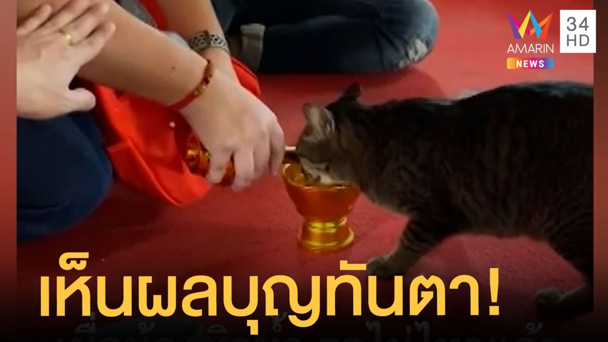 กรวดน้ำรอบนี้เจ้ากรรมนายเวรมารับผลบุญทันตา ชาวเน็ตแซวก็คอมันแห้ง