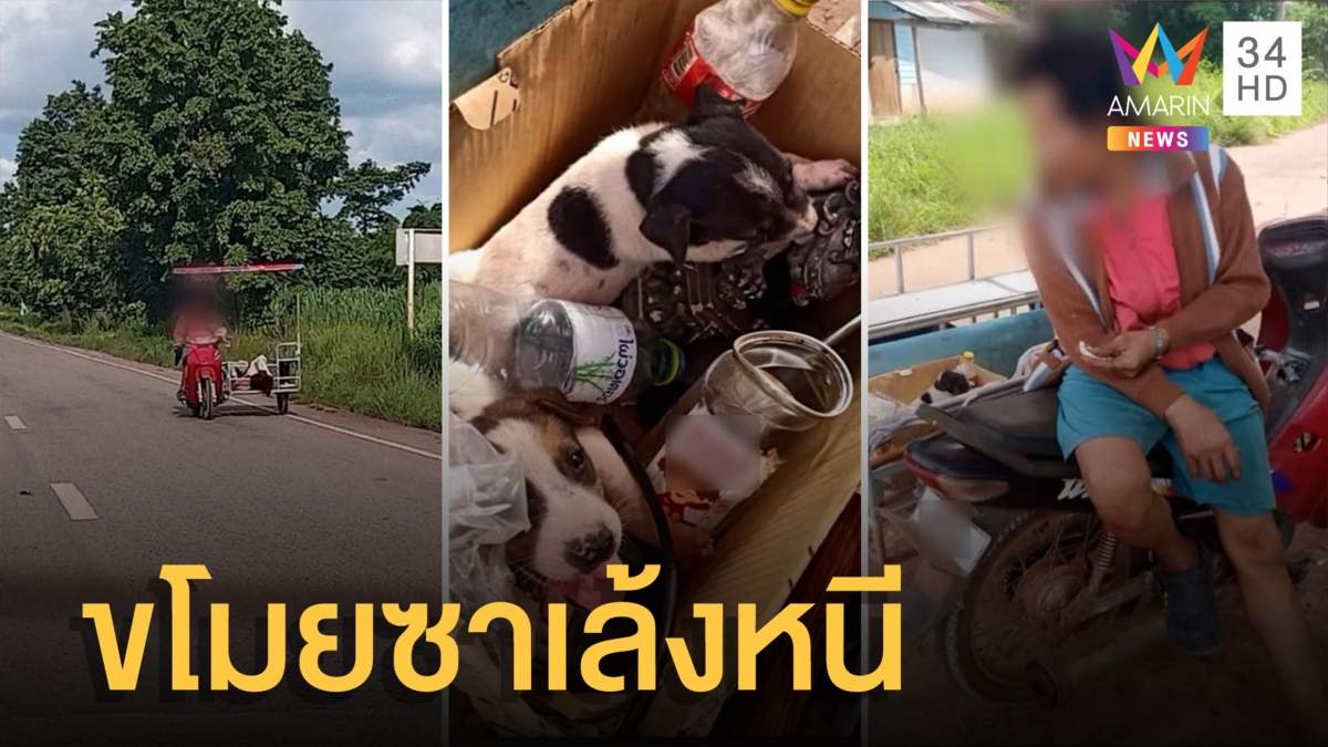 ลุงวอนช่วยชายปริศนาขโมยซาเล้งกับหมาน้อย 2 ตัว หวั่นถูกย่างกิน