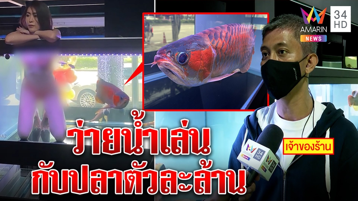 พริตตี้โชว์หวิวนุ่งบิกินีในตู้ปลา เจ้าของแจงทำคอนเทนต์เปิดตัวปลามังกรหลักล้าน