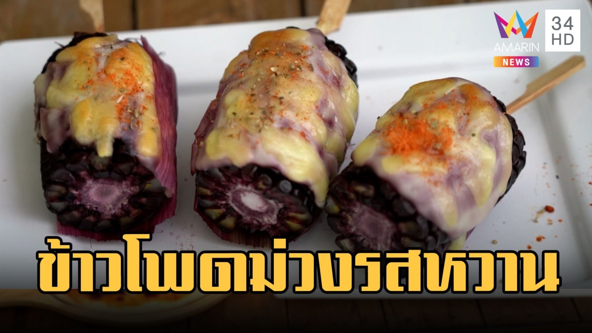 ข้าวโพดสีม่วง แก่นมณี 109 รสหวานกินสดได้เลย