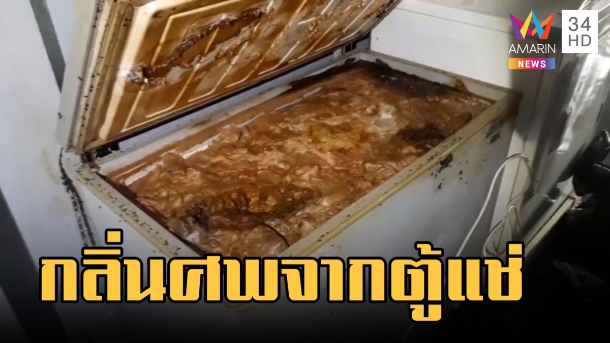 เพื่อนบ้านทนไม่ไหว! กลิ่นศพโชยจากข้างบ้าน ที่แท้ถูกตัดไฟหมูไก่เน่าคาตู้