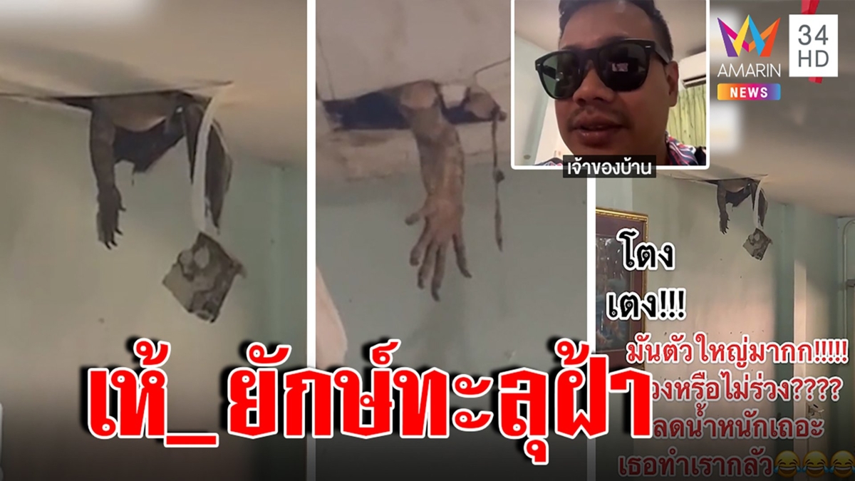ระทึก! เห้_จัมโบ้โผล่ทะลุฝ้า เจ้าของบ้านหายงงเสียงปริศนาร่วมปีเผยนาทีวงแตก