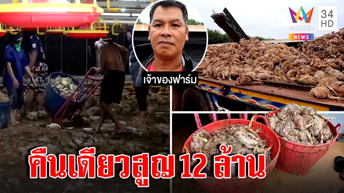 น้ำตาตกใน ไก่นับแสนตายพริบตา แค่ฝนถล่มระยอง เจ้าของเศร้าสูญ 12 ล้าน