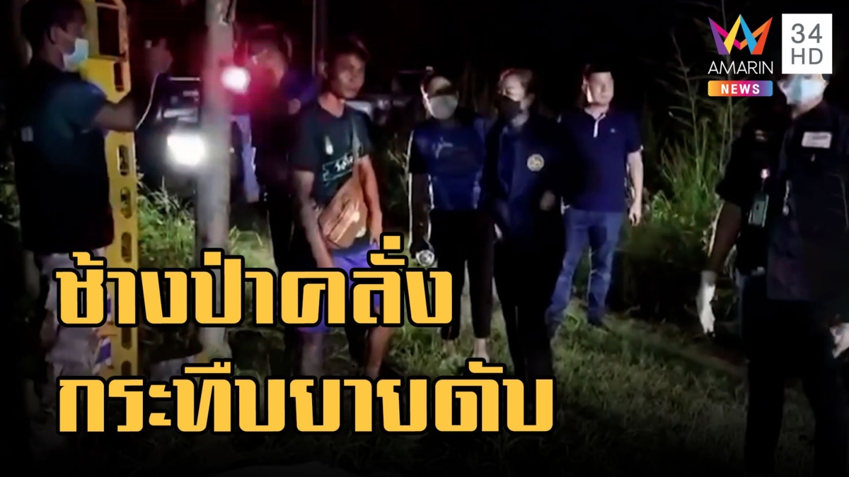 ช้างป่าคลั่งกระทืบอกแม่เฒ่าดับ ชาวบ้านหนีไม่ทันสาอีก 2