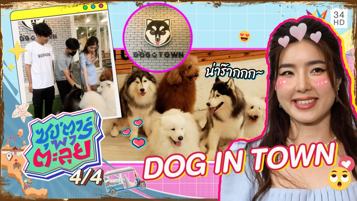 "จียอน" พาเที่ยวคาเฟ่หมา DOG IN TOWN