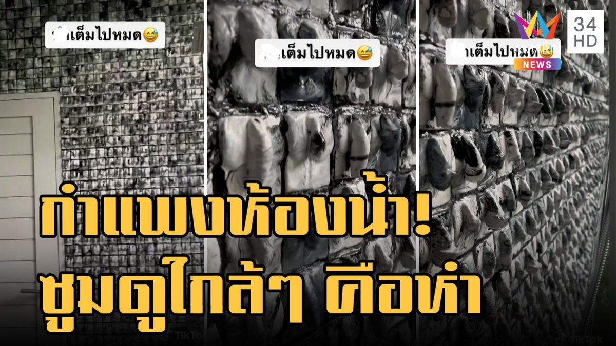 ประติมากรรมกำแพงห้องน้ำสุดครีเอท ซูมดูใกล้ๆ มันคือ "หำ"