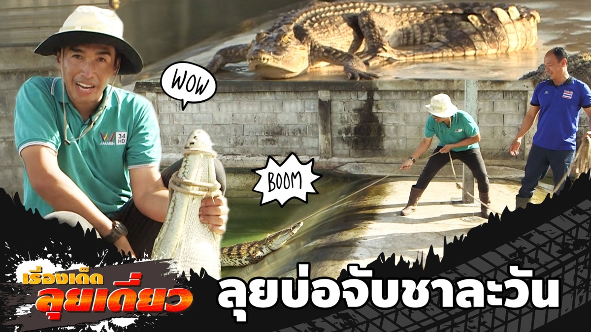 ลุยบ่อจับชาละวัน อาชีพแปรรูปจระเข้ จ.ราชบุรี